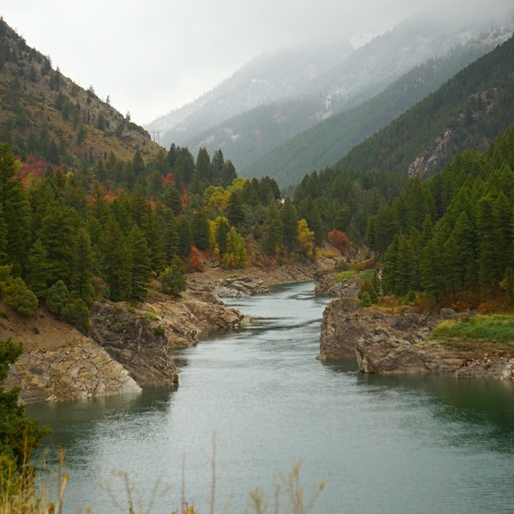 Meet your Posher, Mj - Picture 1 of 1